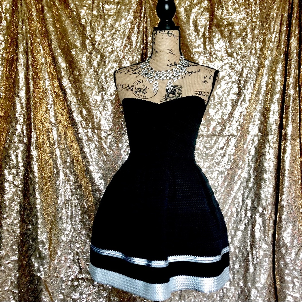 NWT Sams Souci Scuba Bandage Skater Dress
